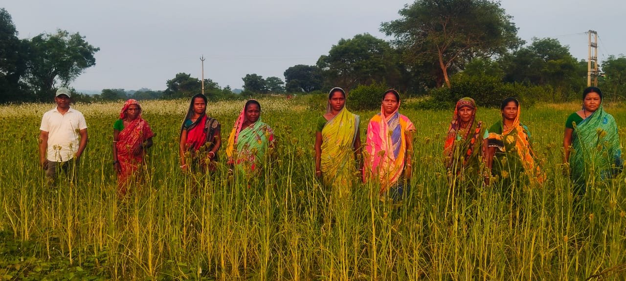 Ragi Field Visit